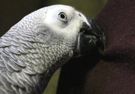 c0118496_20454657.jpg