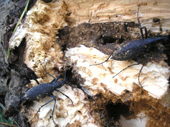 e0083097_2552547.jpg