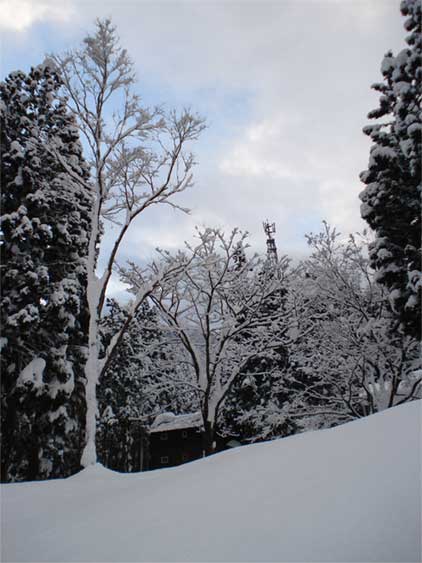a0061599_749555.jpg