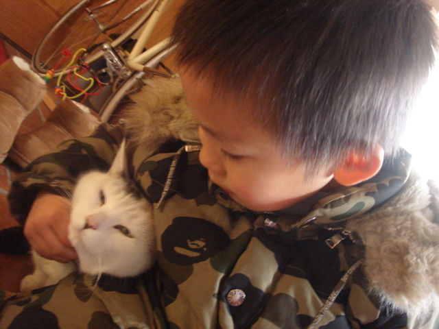 d0091001_2358259.jpg