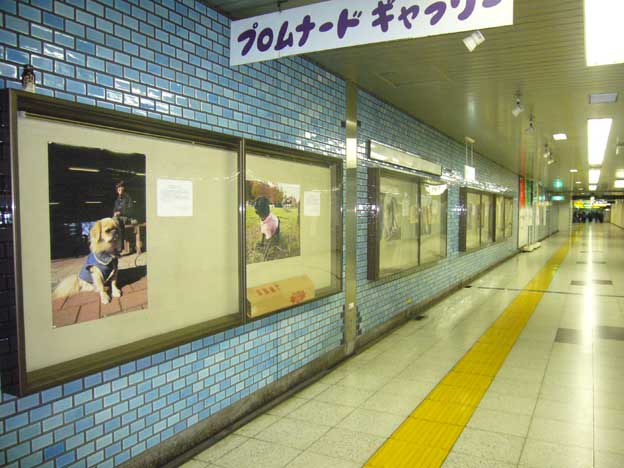 e0018604_17593627.jpg