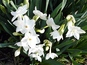 e0099905_0131132.jpg