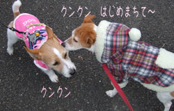 c0031808_19345699.jpg
