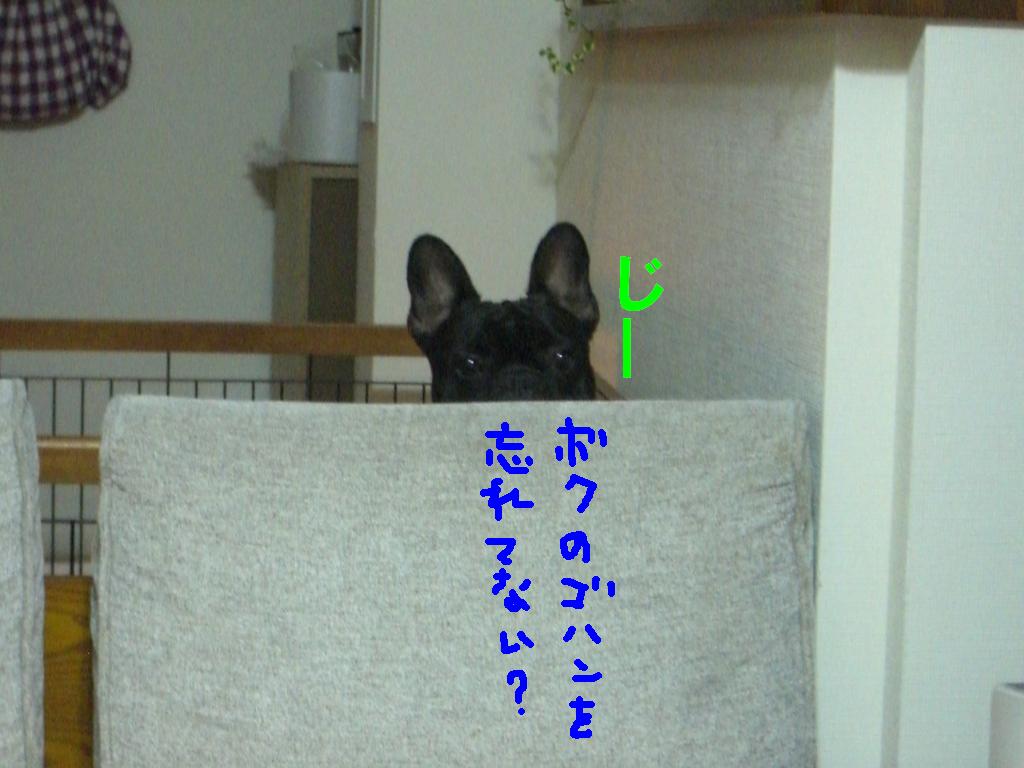 c0113109_2124286.jpg