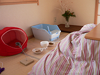 d0142117_0444794.jpg