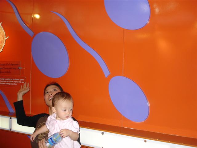 d0120021_1642650.jpg