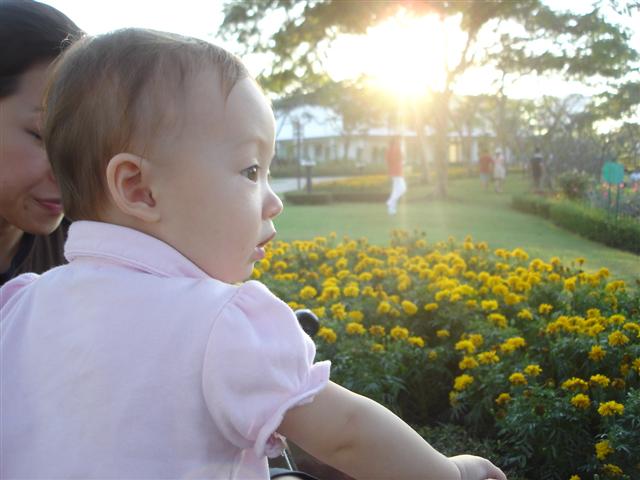 d0120021_16452822.jpg