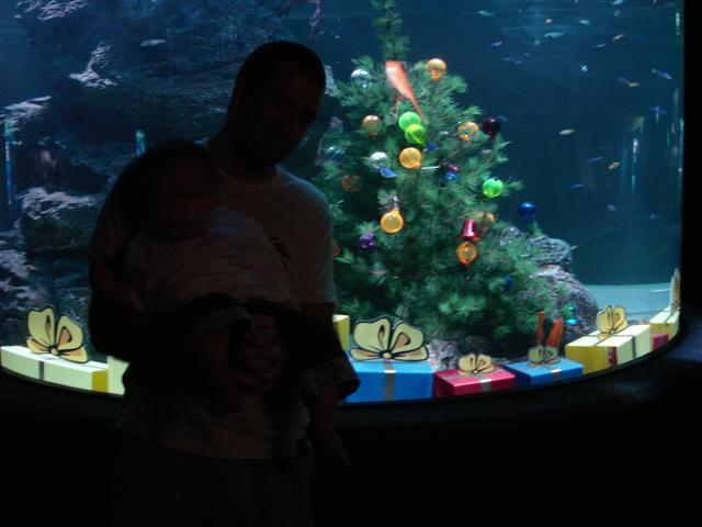 d0120021_16535052.jpg
