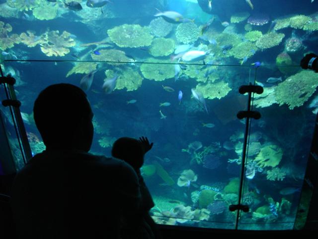 d0120021_16541113.jpg