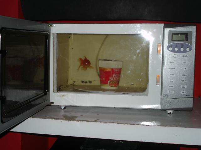 d0120021_1655141.jpg