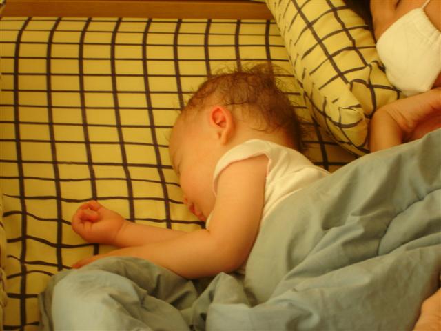 d0120021_1659564.jpg