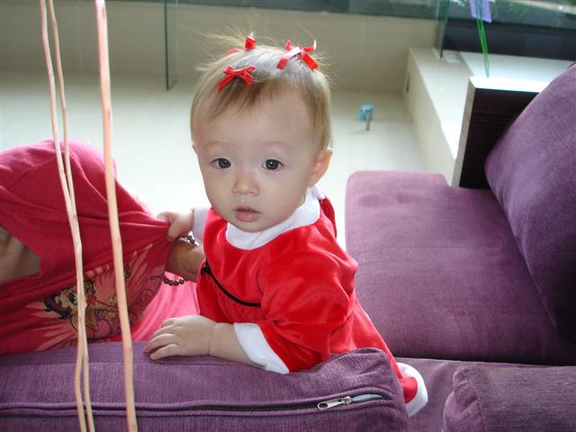 d0120021_1732620.jpg