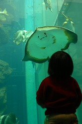 a0092129_224887.jpg