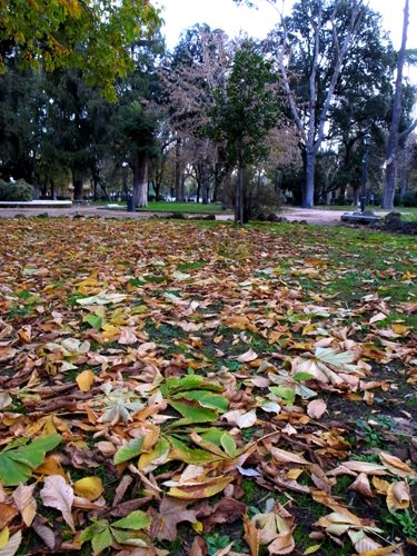 c0077129_3253375.jpg