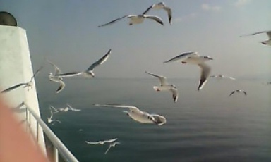 c0002431_1622450.jpg