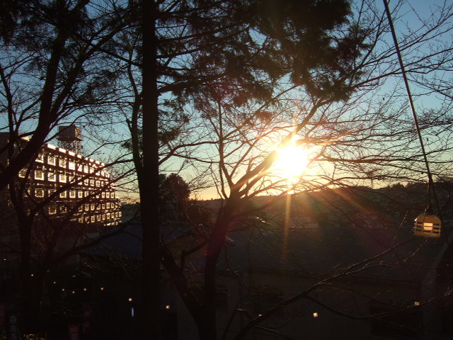 f0020837_12221567.jpg