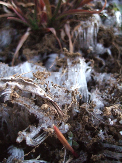 f0020837_12272195.jpg