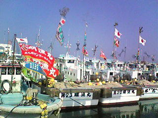 d0047840_1685238.jpg