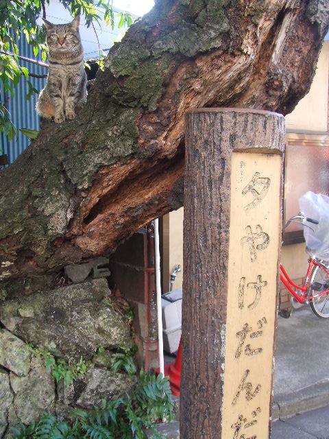 c0071545_9134288.jpg