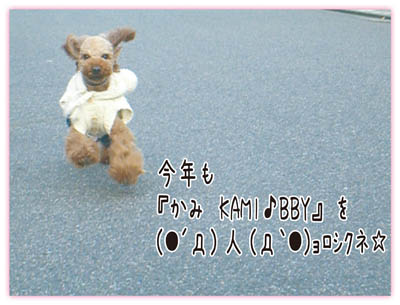 c0115145_092730.jpg
