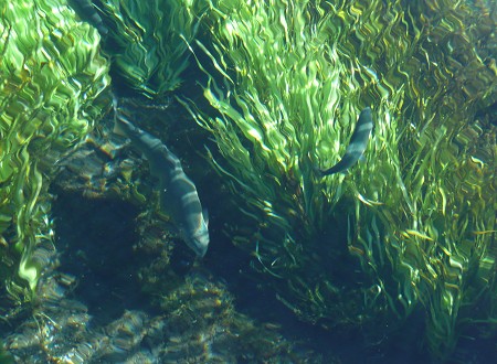 c0057946_195389.jpg