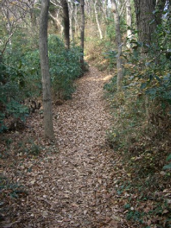f0072846_18405388.jpg