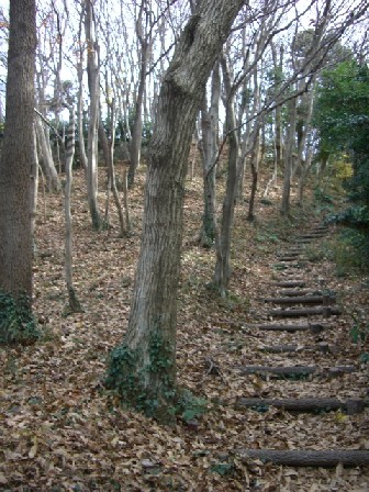 f0072846_191125.jpg