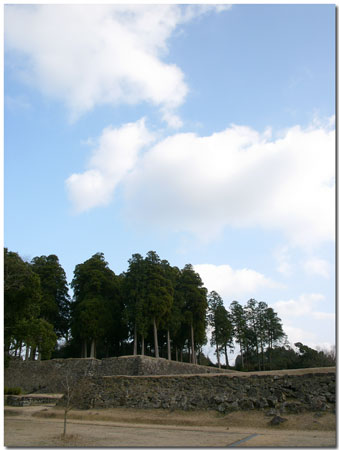 d0141347_18125943.jpg
