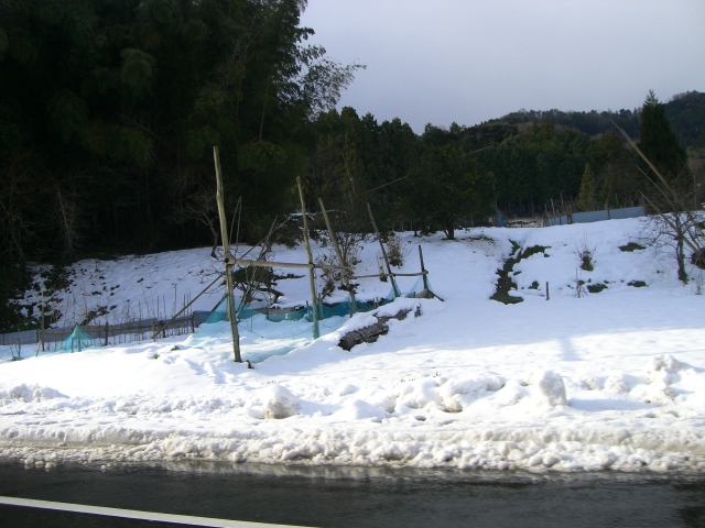 f0083649_2354153.jpg
