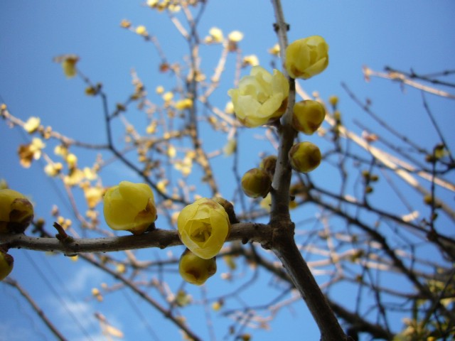 f0091250_16463366.jpg
