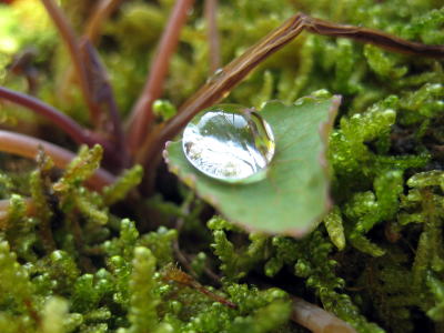 c0147952_227097.jpg