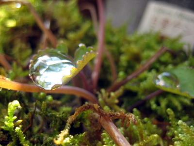 c0147952_229136.jpg