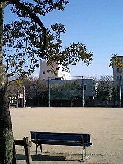 d0076760_0263230.jpg