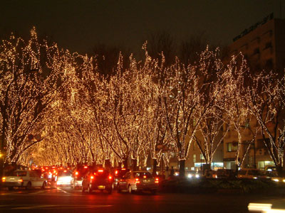 c0050264_0163884.jpg