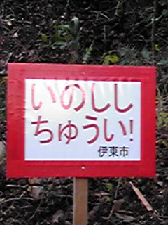 a0070866_22295469.jpg