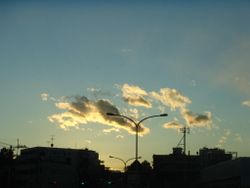 f0117666_015729.jpg
