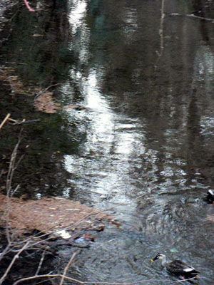 f0086169_23514592.jpg
