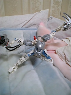 d0124271_1425149.jpg