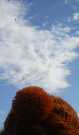 e0093173_1323719.jpg