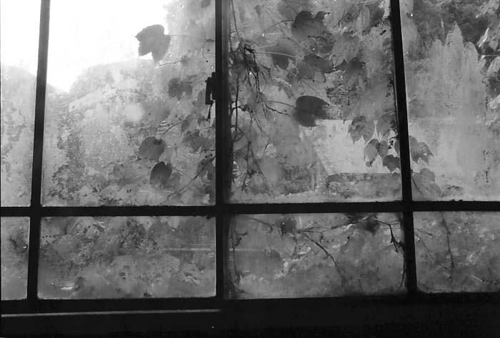 c0131875_094148.jpg