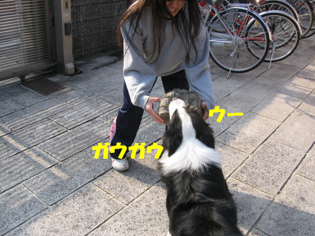 e0117976_12323080.jpg