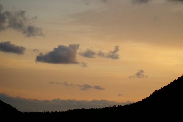 d0079278_19174694.jpg