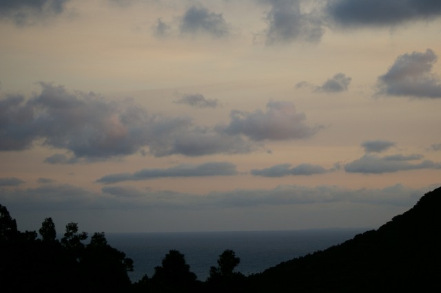 d0079278_1917787.jpg