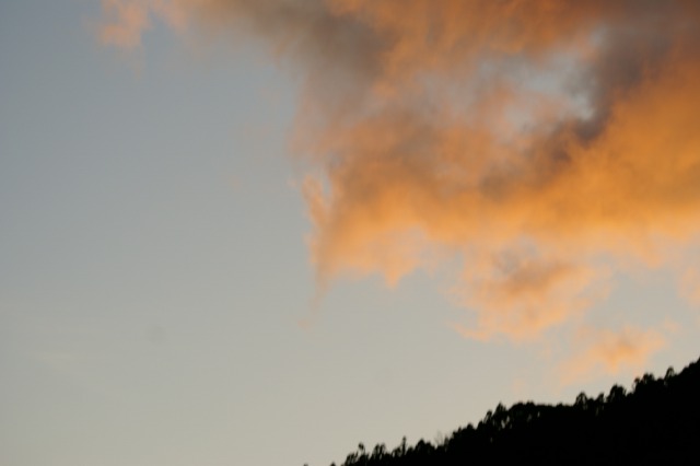 d0079278_19183189.jpg