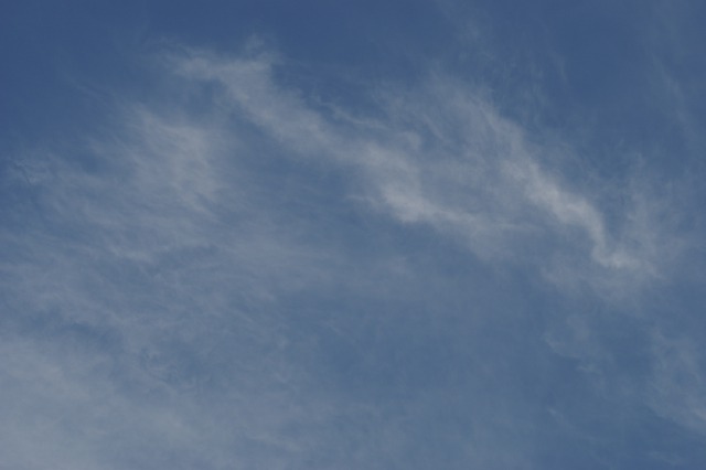 d0079278_192138100.jpg