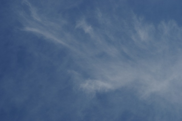 d0079278_19215566.jpg