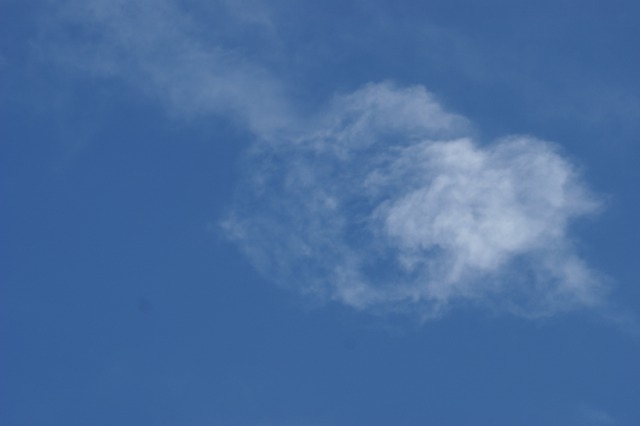 d0079278_19222898.jpg