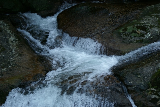 d0079278_19262412.jpg