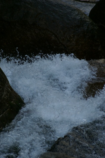 d0079278_19265269.jpg