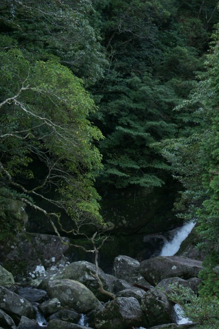 d0079278_1926936.jpg